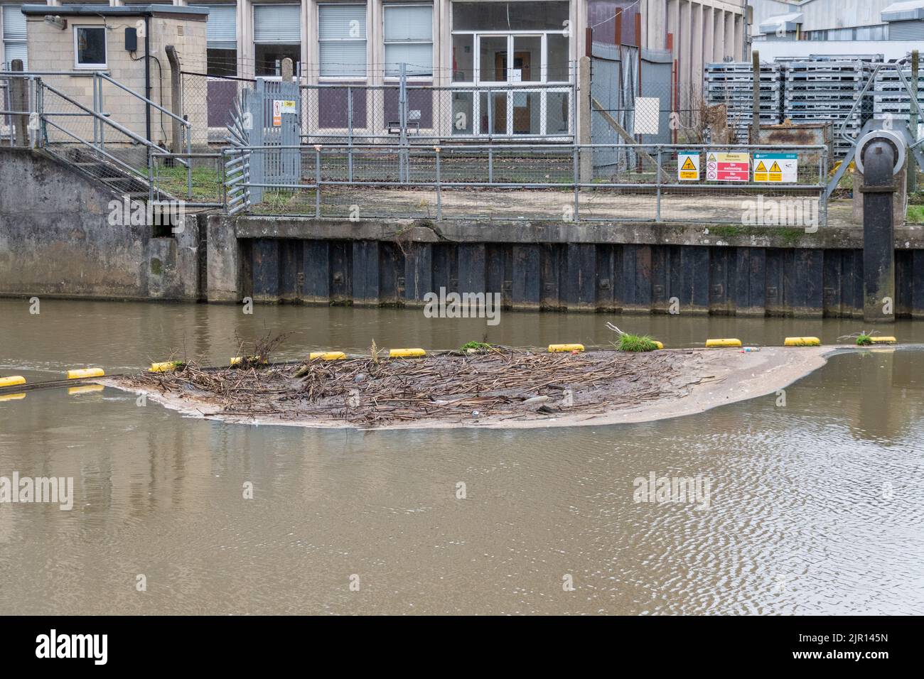 Un boom di detriti galleggianti con una collezione di ramoscelli, lettiera, materia di piante morte e scorie si formarono contro di essa sul fiume Bristol Avon nella città di Melks Foto Stock