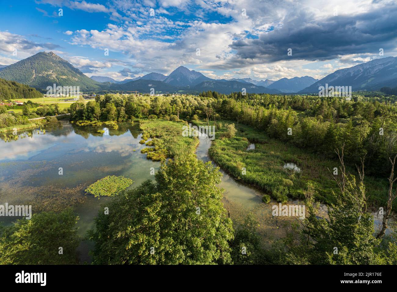 Zone umide del fiume Rewilded Lech vicino a Pflach, Austria Foto Stock