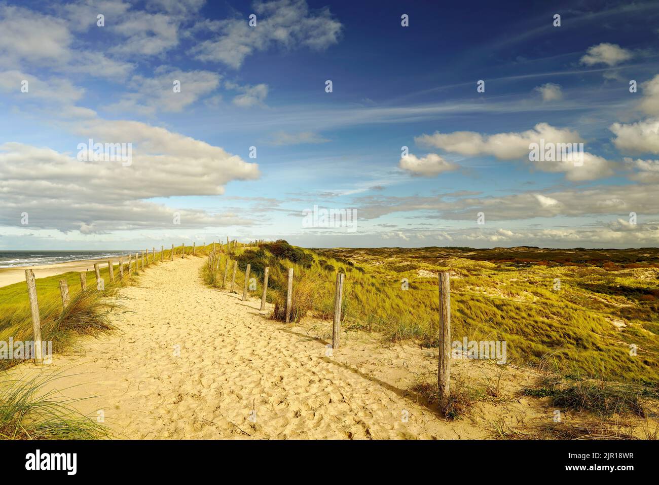 Un bellissimo sentiero di sabbia lungo l'oceano. Alcune nuvole nel cielo blu. North Holland Dune Reserve, Egmond aan Zee, Paesi Bassi. Foto Stock