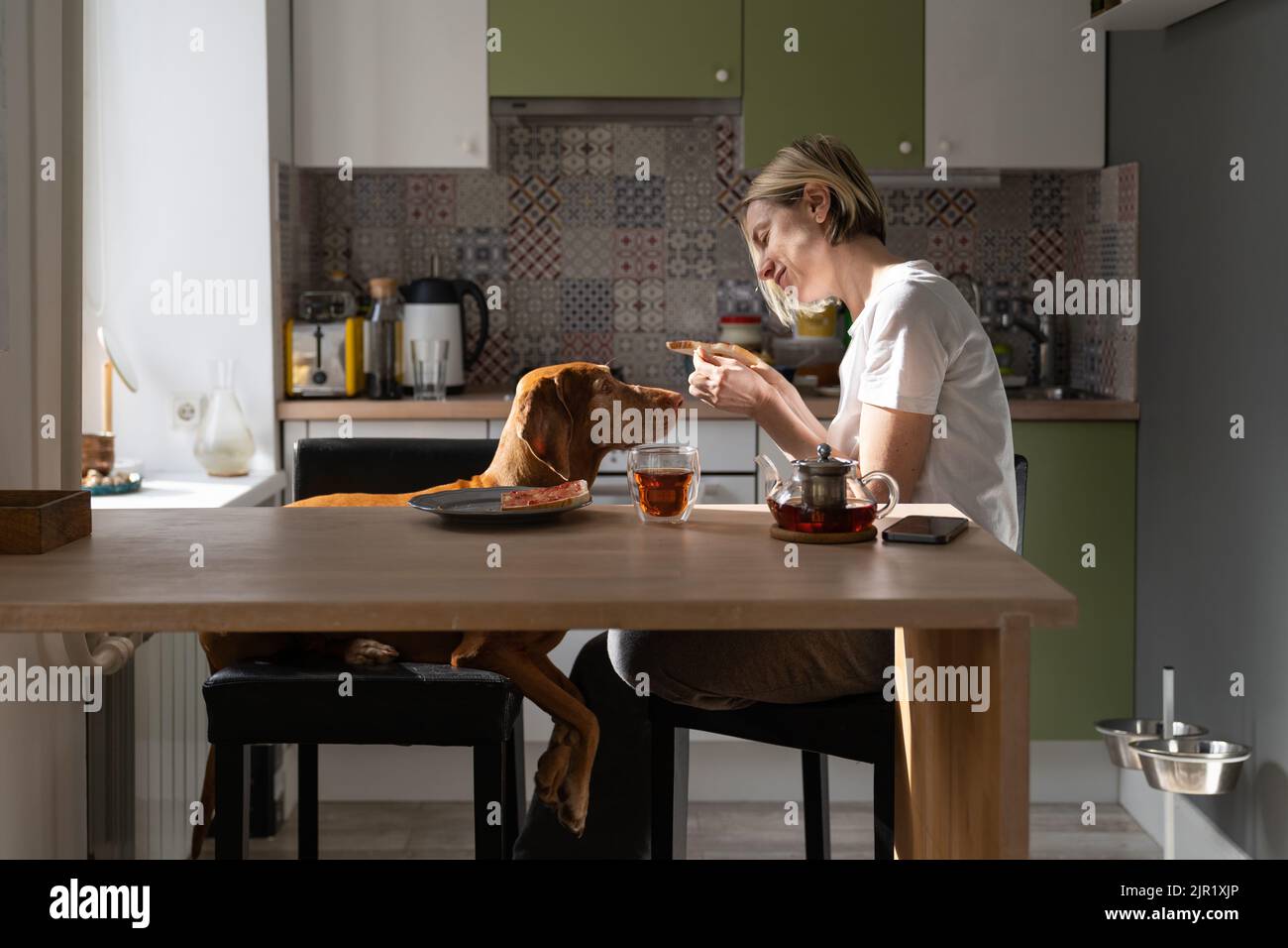 Felice donna matura cerca di alimentare il cane con panino e sorrisi seduti al tavolo da cucina Foto Stock