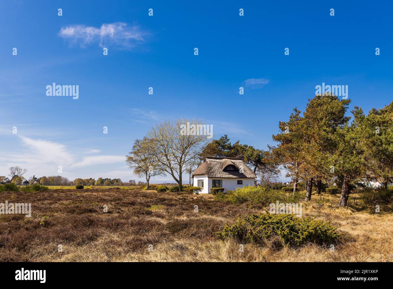 Cottage tra Vitte e Neuendorf sull'isola di Hiddensee, Germania. Foto Stock