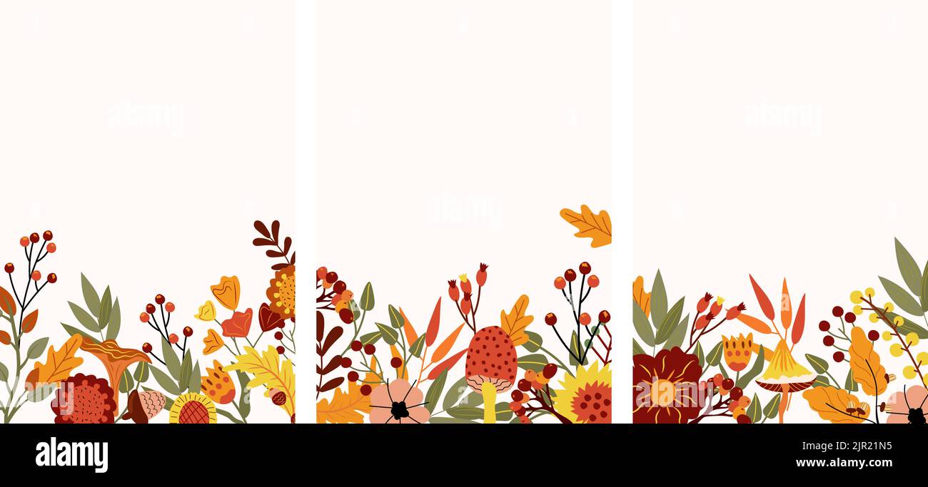 Banner autunnale con foglie colorate, funghi, bacche autunnali e fiori. Composizione per biglietti d'auguri, poster e festival del raccolto o del Ringraziamento. Illustrazione vettoriale. Illustrazione Vettoriale