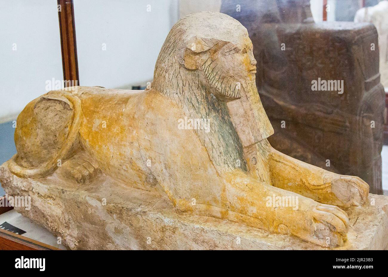 Il Cairo, Museo Egizio, sfinge di Hatshepsut, relativamente insolito come la sua testa ha caratteristiche leone (mane), mentre questo è di solito solo il suo corpo. Foto Stock