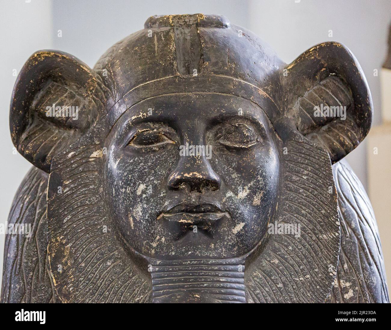 Il Cairo, Museo Egizio, sfinge di Amenemhat III, più tardi usurpato, trovato in Tanis. Relativamente insolito come la sua testa ha caratteristiche leone (mane). Foto Stock