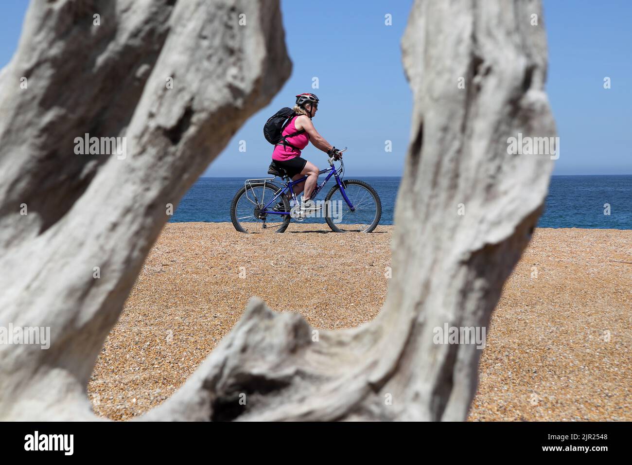 Ciclista su una spiaggia di sabbia deserta incorniciata da un pezzo di driftwood stagionato, Capbreton, Francia Foto Stock