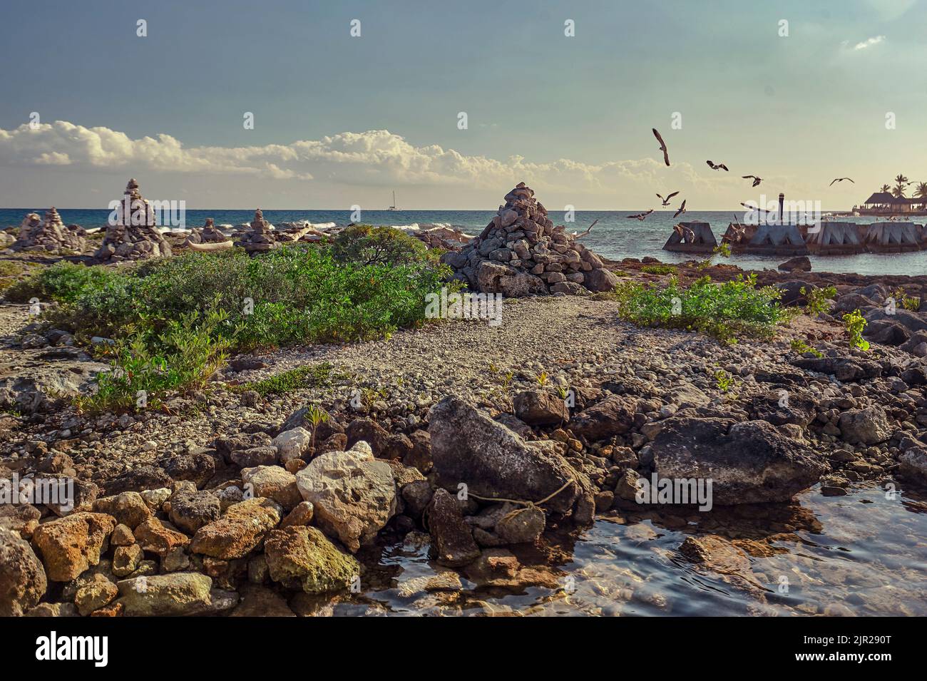 Particolare della vista della spiaggia di Puerto Aventuras in Messico con alcuni gabbiani che volano dal mare alla costa. Foto Stock