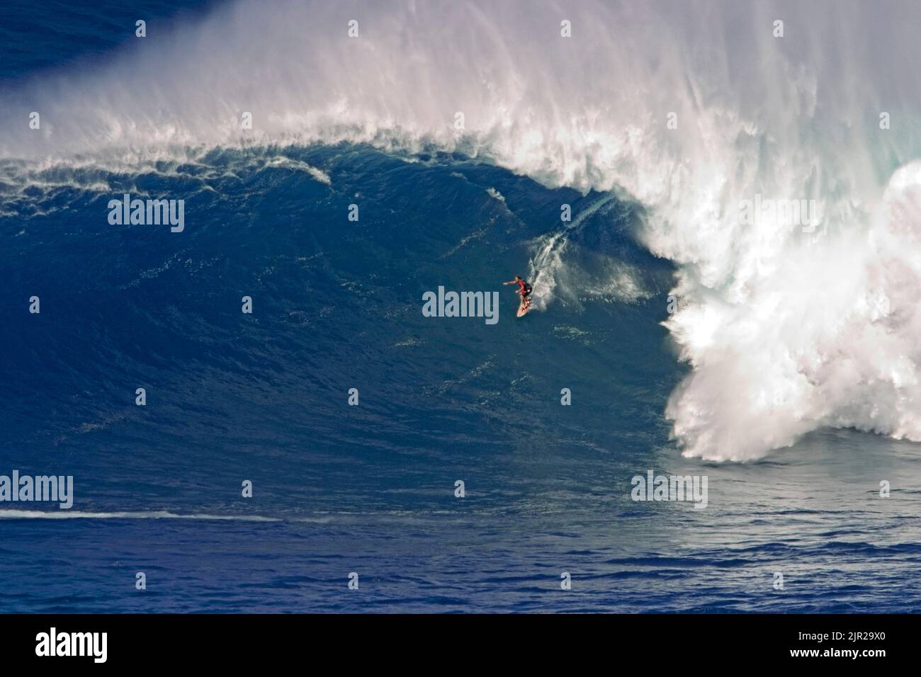 Un tow-in surfer scende al di sotto del ricciolo di Hawaii's big surf a Peahi (ganasce) off Maui. Foto Stock