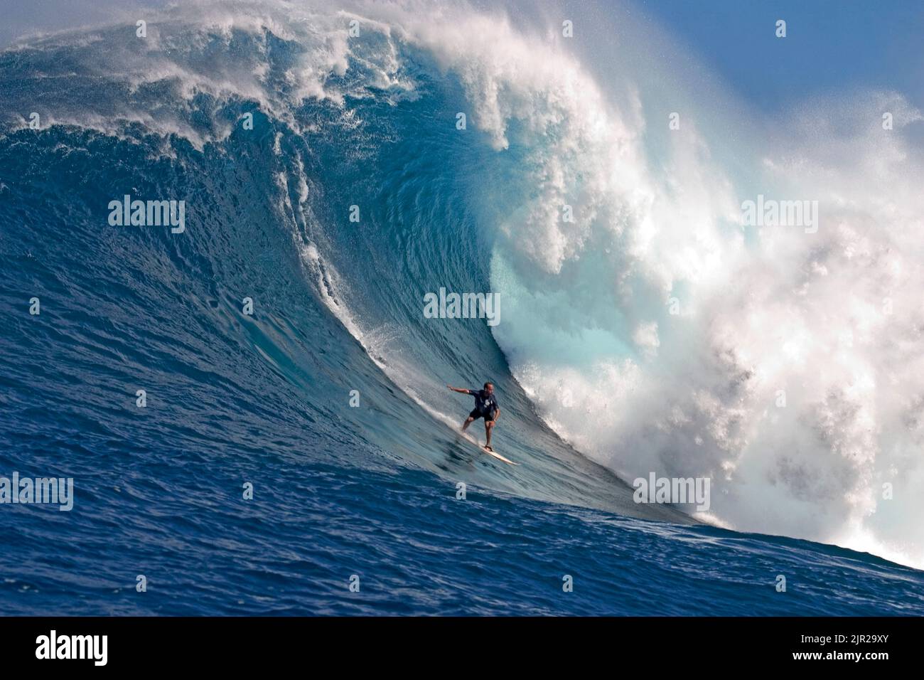 Un tow-in surfer scende al di sotto del ricciolo di Hawaii's big surf a Peahi (ganasce) off Maui. Foto Stock