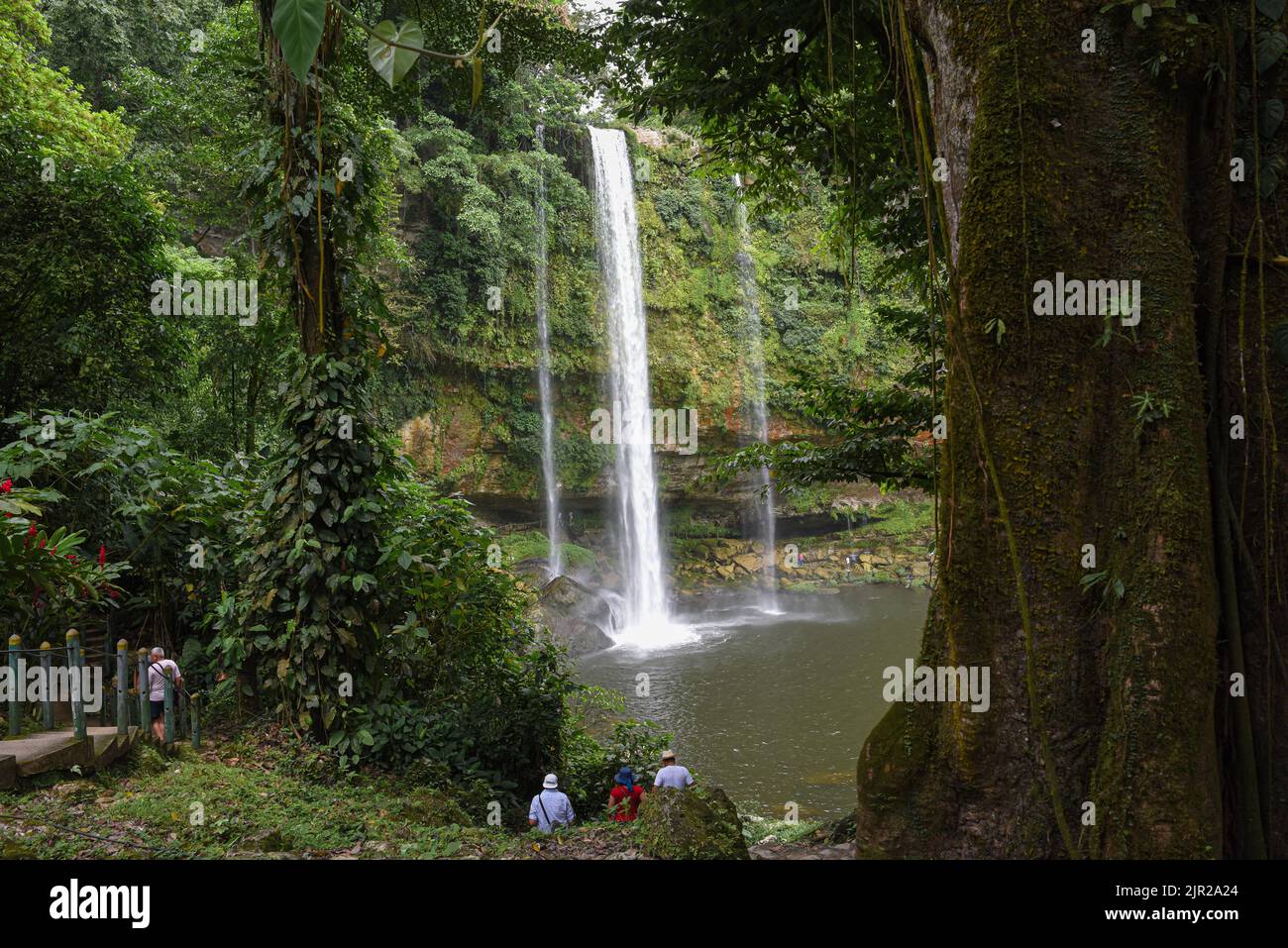 Best Waterfall Where People Vacation in an Epic Jungle Foto Stock