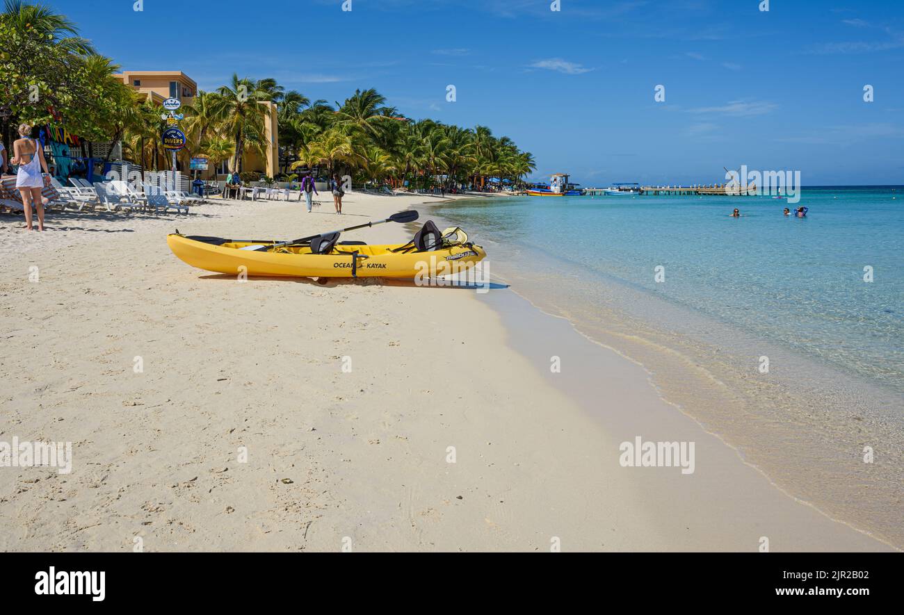 Best Beach situato su Un'isola tropicale con alberi di cocco arcobaleno Foto Stock