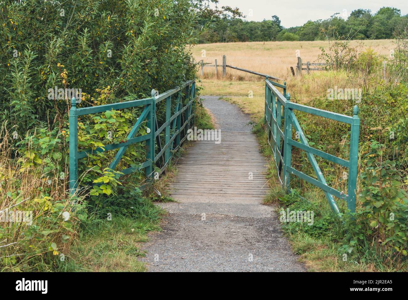 Ponte presso la riserva naturale Big Waters, su terreni minerari rigenerati, alla periferia di Newcastle upon Tyne, Regno Unito. Foto Stock