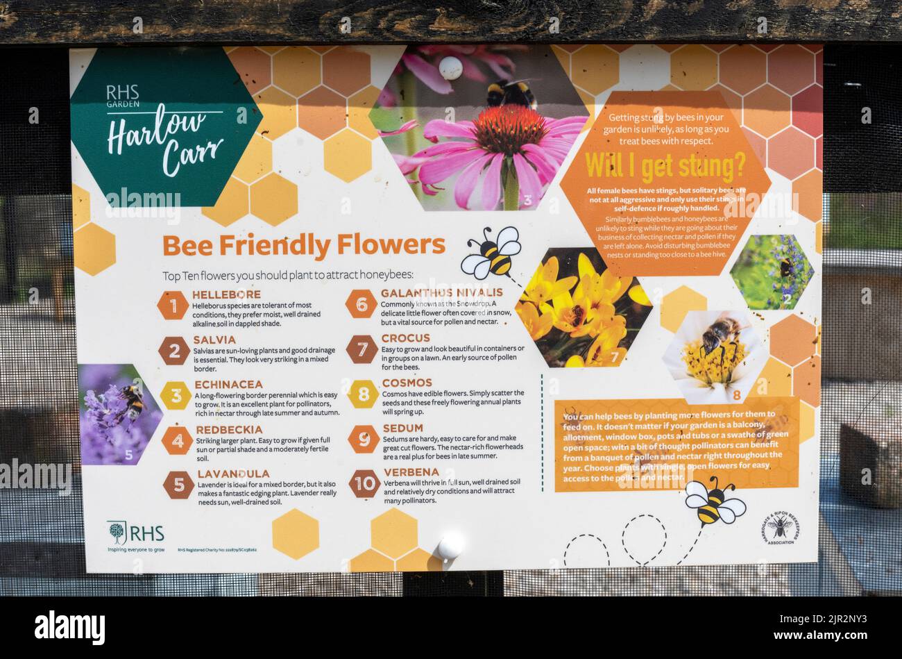 Informazioni per i visitatori sulle api a RHS Garden Harlow Carr, Crag Lane, Beckwithshaw, Harrogate, Yorkshire, Inghilterra, Regno Unito Foto Stock