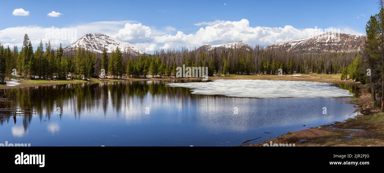 Lago circondato da montagne e alberi nel paesaggio Amercian. Foto Stock