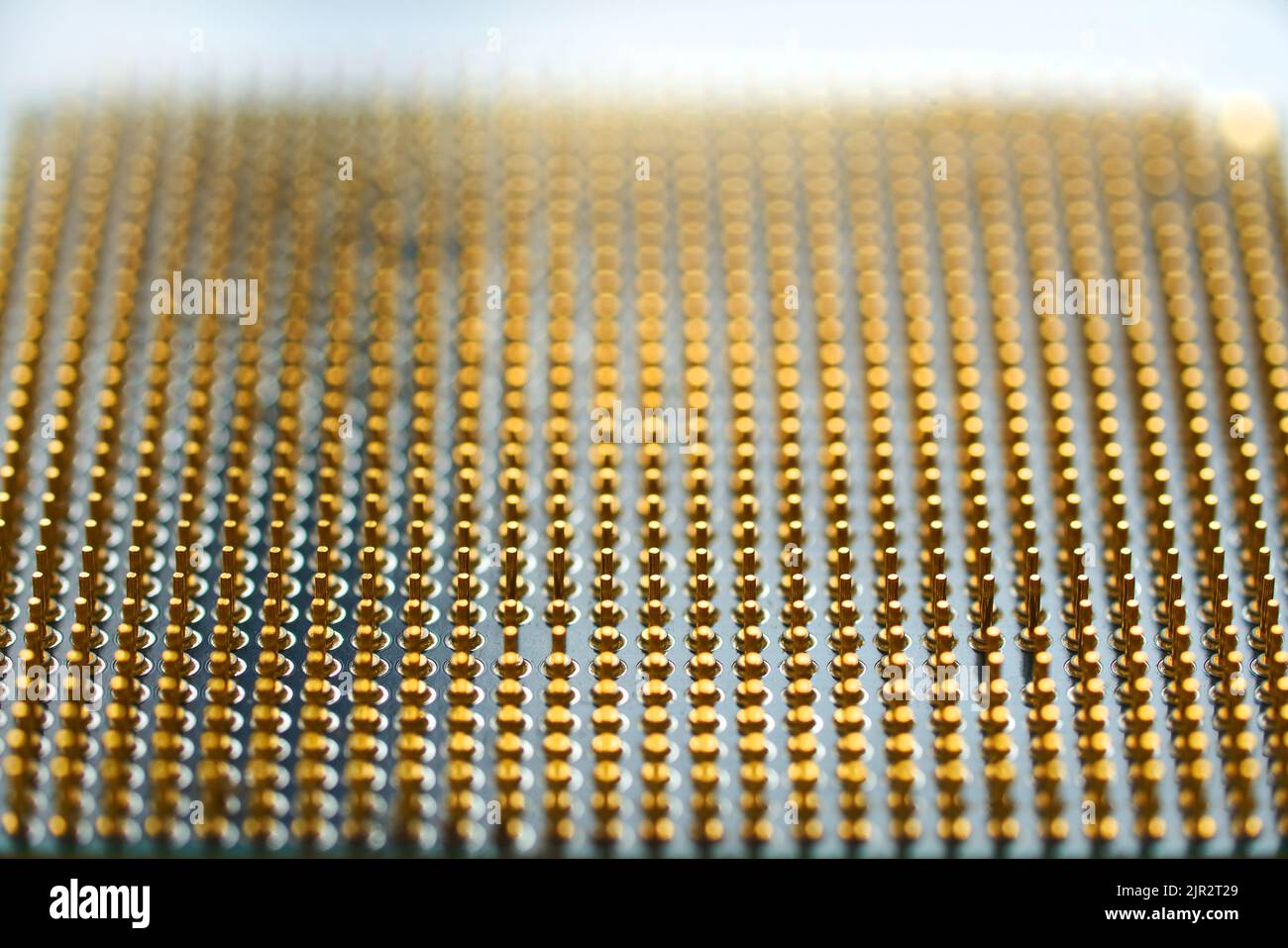 Microprocessore su sfondo bianco. Pin dorati rivolti verso l'alto. Il concetto di nuove tecnologie Foto Stock