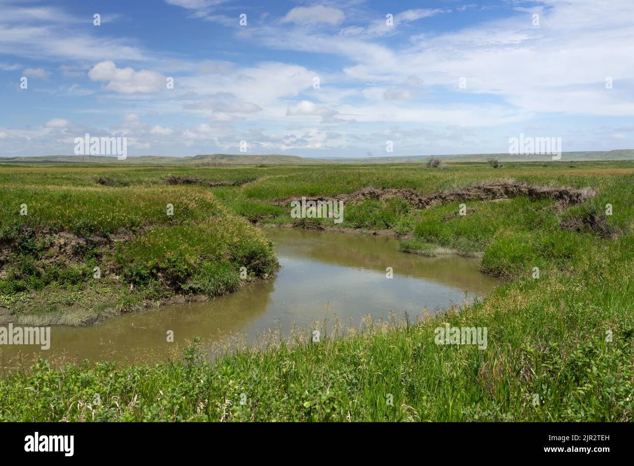 Una vista panoramica di un ruscello nel Parco Nazionale delle praterie, Saskatchewan, Canada. Foto Stock