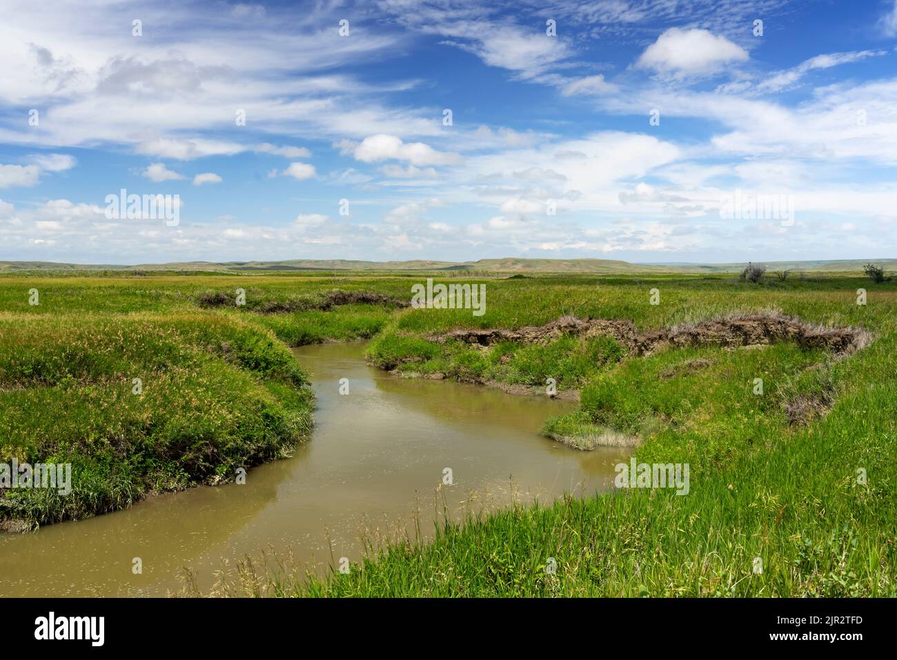 Una vista panoramica di un ruscello nel Parco Nazionale delle praterie, Saskatchewan, Canada. Foto Stock