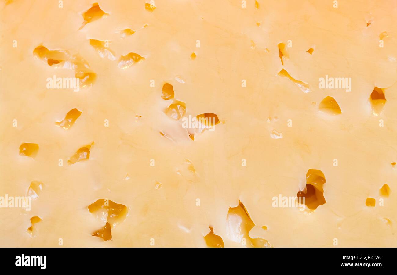 Un pezzo di formaggio russo con buchi in primo piano Foto Stock