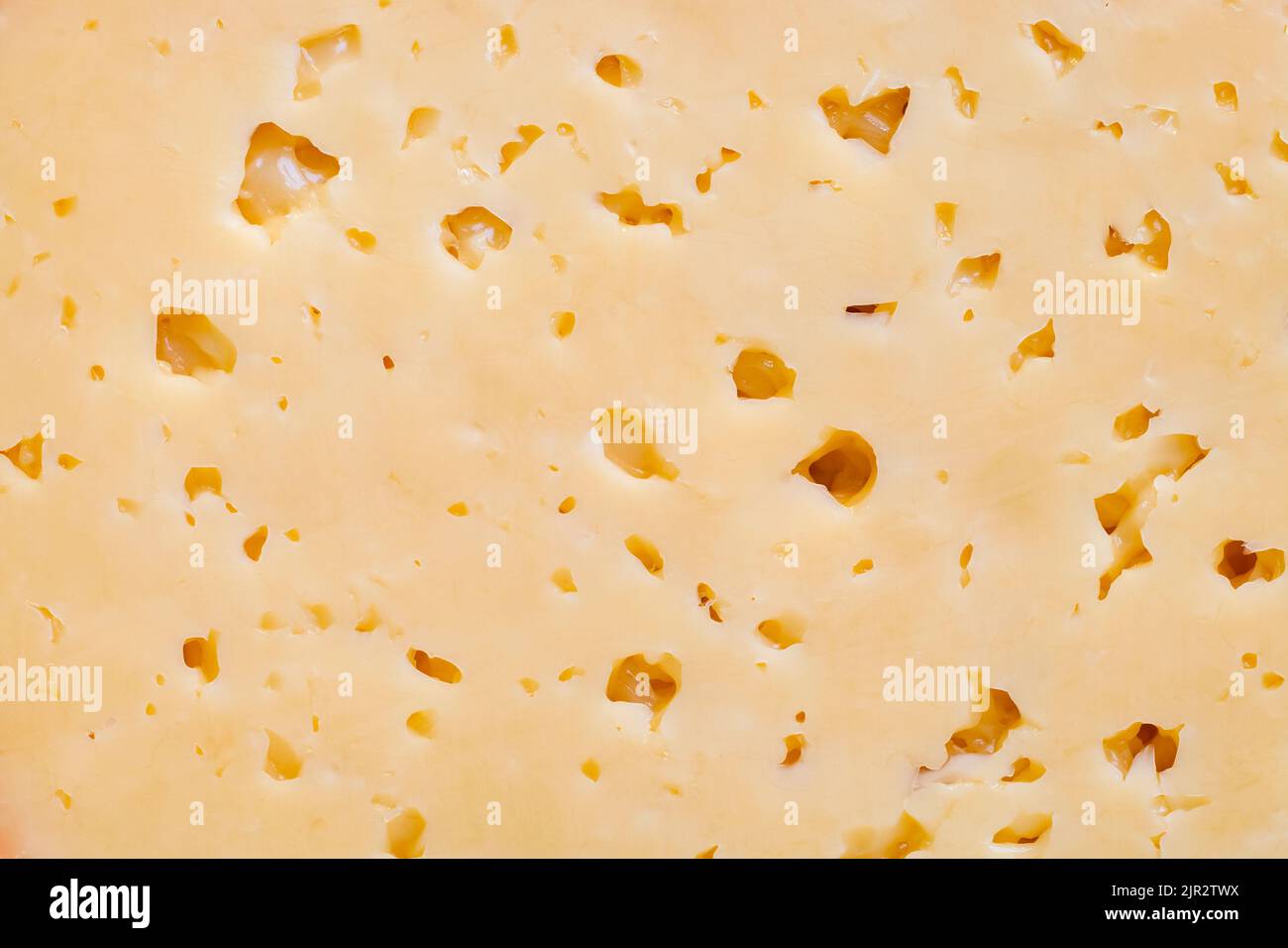 Un pezzo di formaggio russo con buchi in primo piano Foto Stock