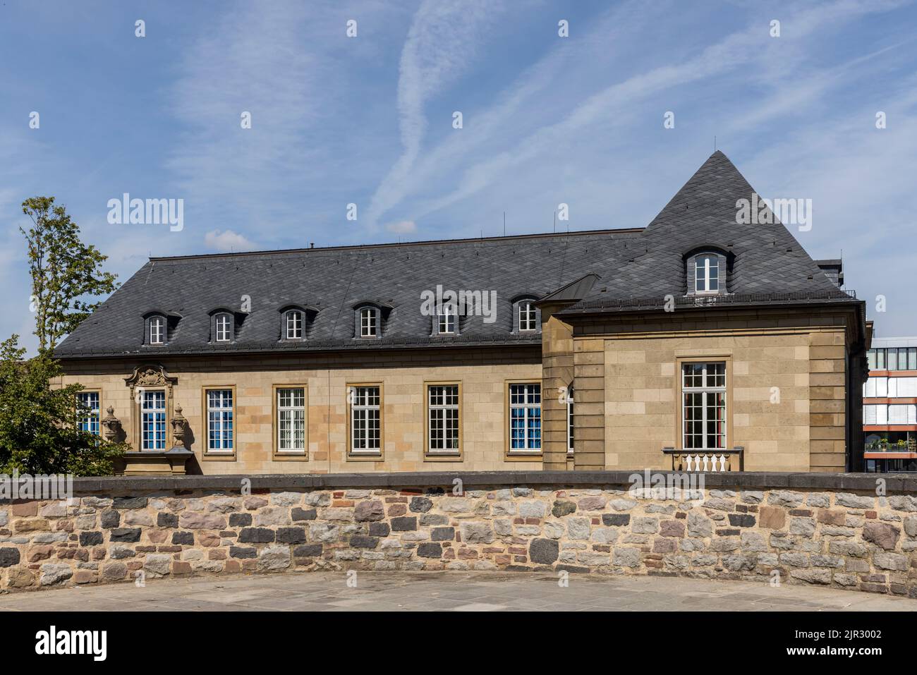 La filosofia universitaria di Bonn si basa su una giornata estiva intensa Foto Stock
