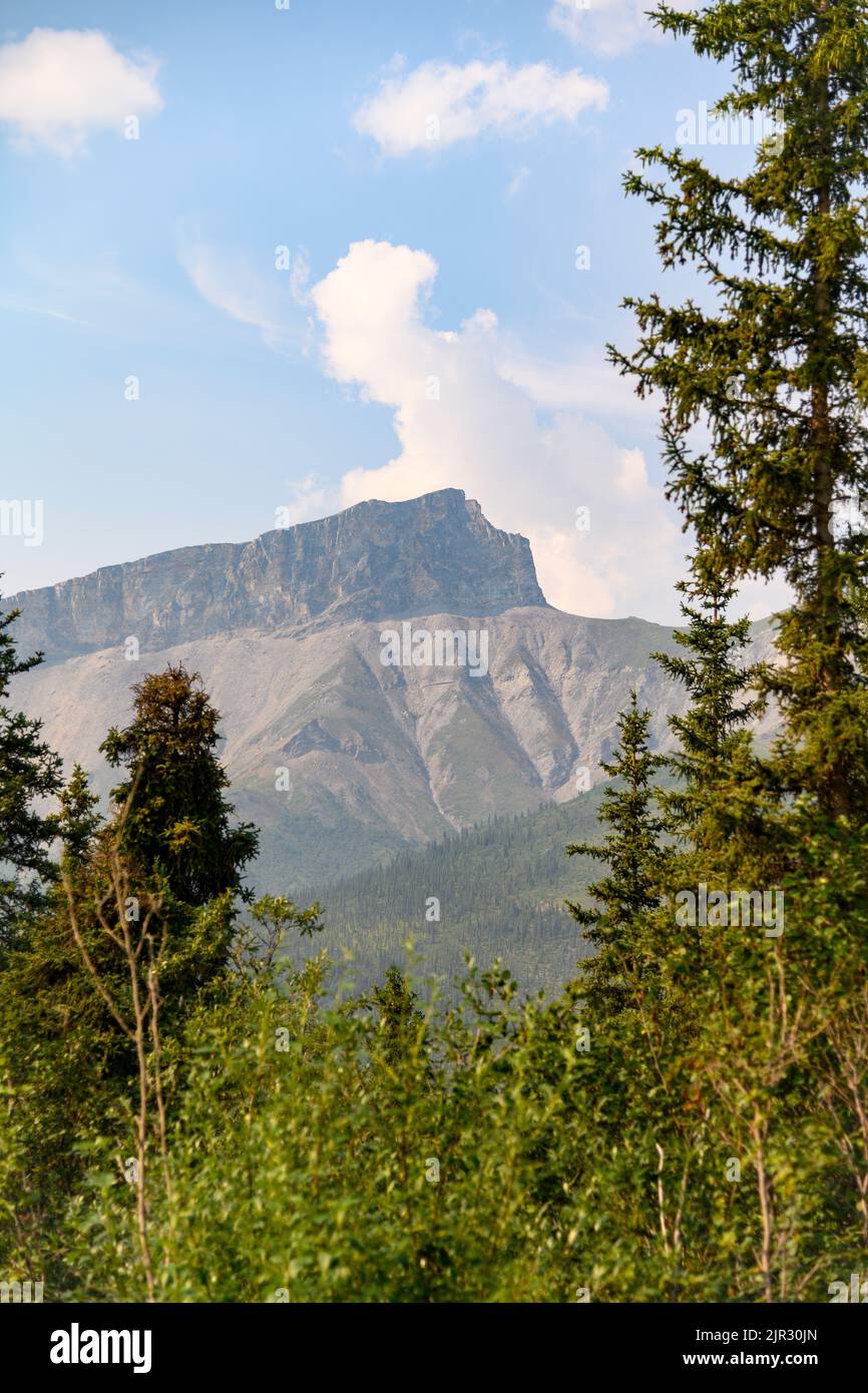 Un colpo verticale della cresta nella catena dei ruscelli dell'Alaska con una foresta in primo piano Foto Stock