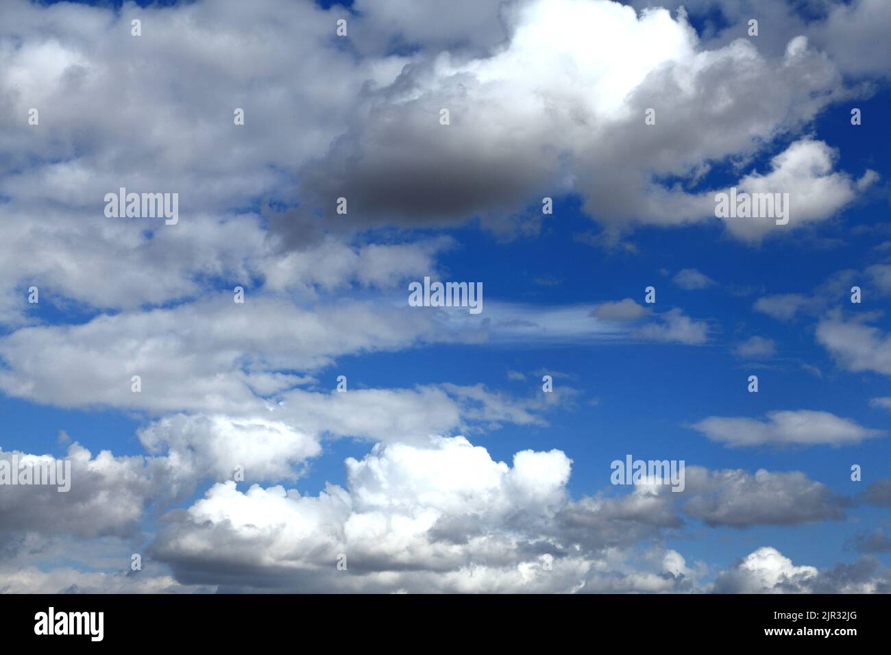Nuvole bianche di cumulo, nuvole grigie, cielo blu, cielo drammatico, turbolento, Cielo, meteo, meteorologia, Inghilterra, Regno Unito Foto Stock