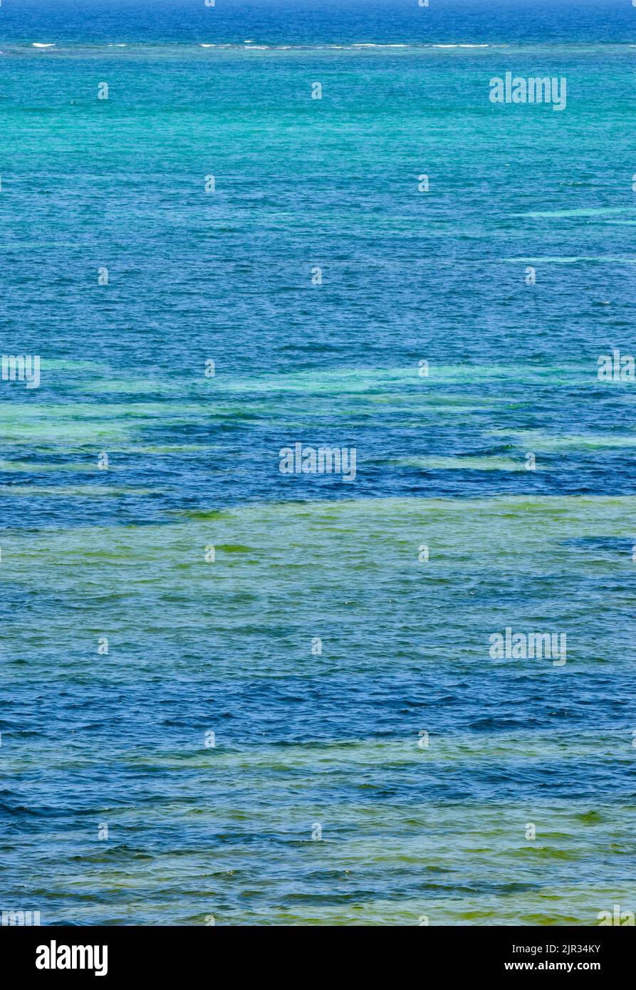 Le belle e variegate tonalità di blu e turchese del mare lungo la costa di Ambergris Caye, San Pedro, Belize. Foto Stock