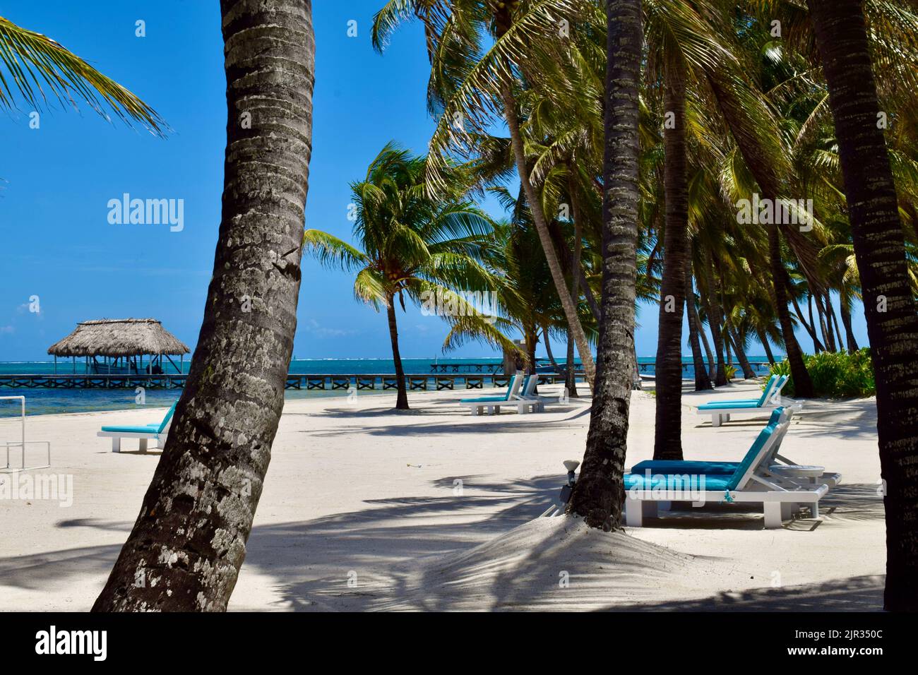 Una vista tipica su Ambergris Caye, San Pedro, Belize di una spiaggia, sedie a sdraio, palme, palapa, e un molo in una giornata di sole. Foto Stock