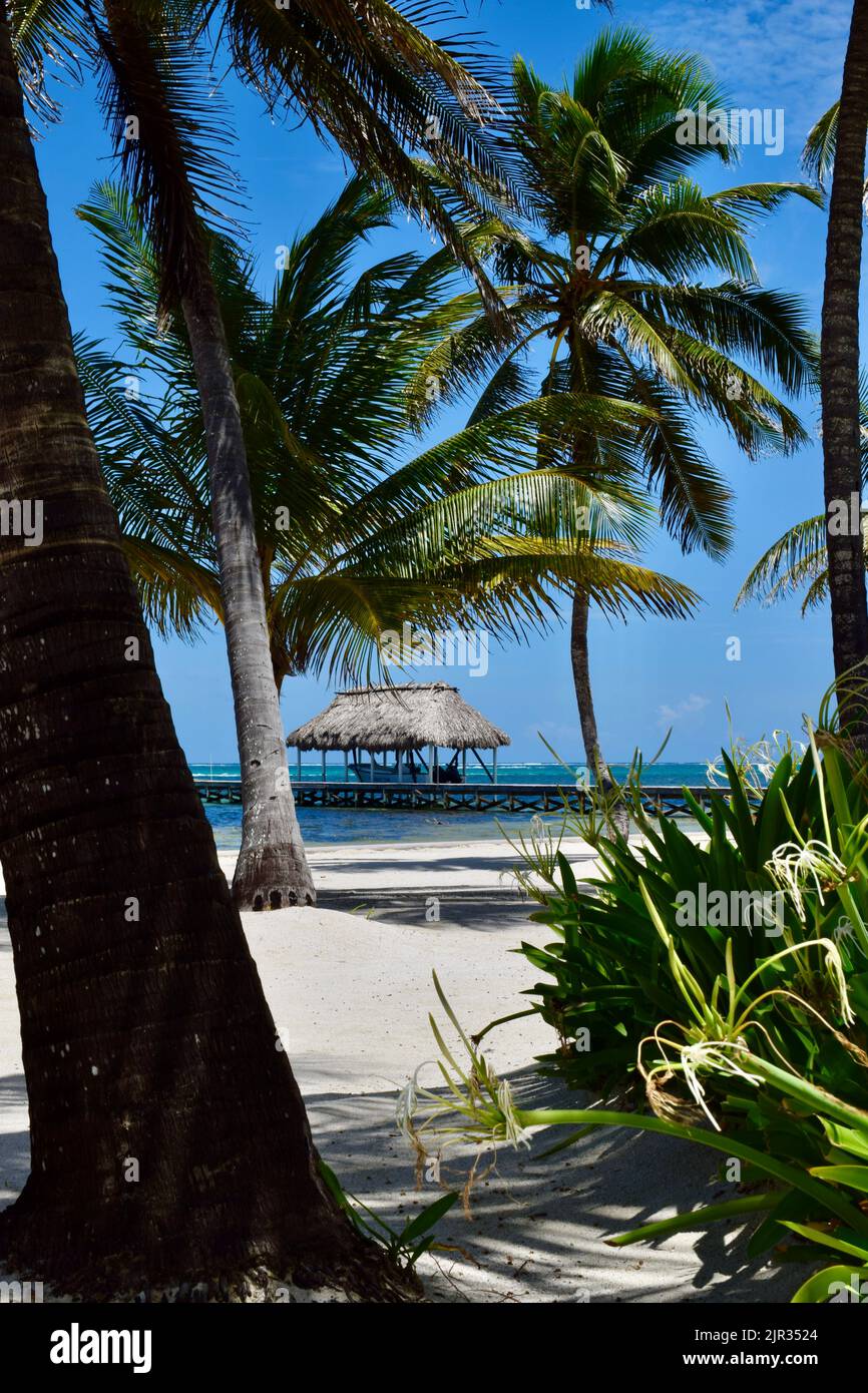 Una scena tropicale su Ambergris Caye, San Pedro, Belize, di un palapa, molo, palme e spiaggia di sabbia bianca in una giornata limpida e soleggiata. Foto Stock