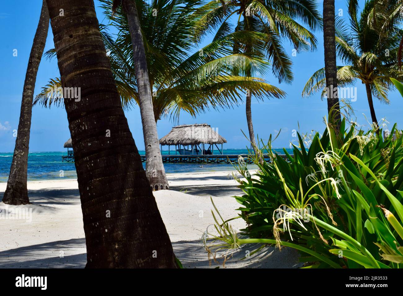 Una scena tropicale su Ambergris Caye, San Pedro, Belize, di un palapa, molo, palme e spiaggia di sabbia bianca in una giornata limpida e soleggiata. Foto Stock