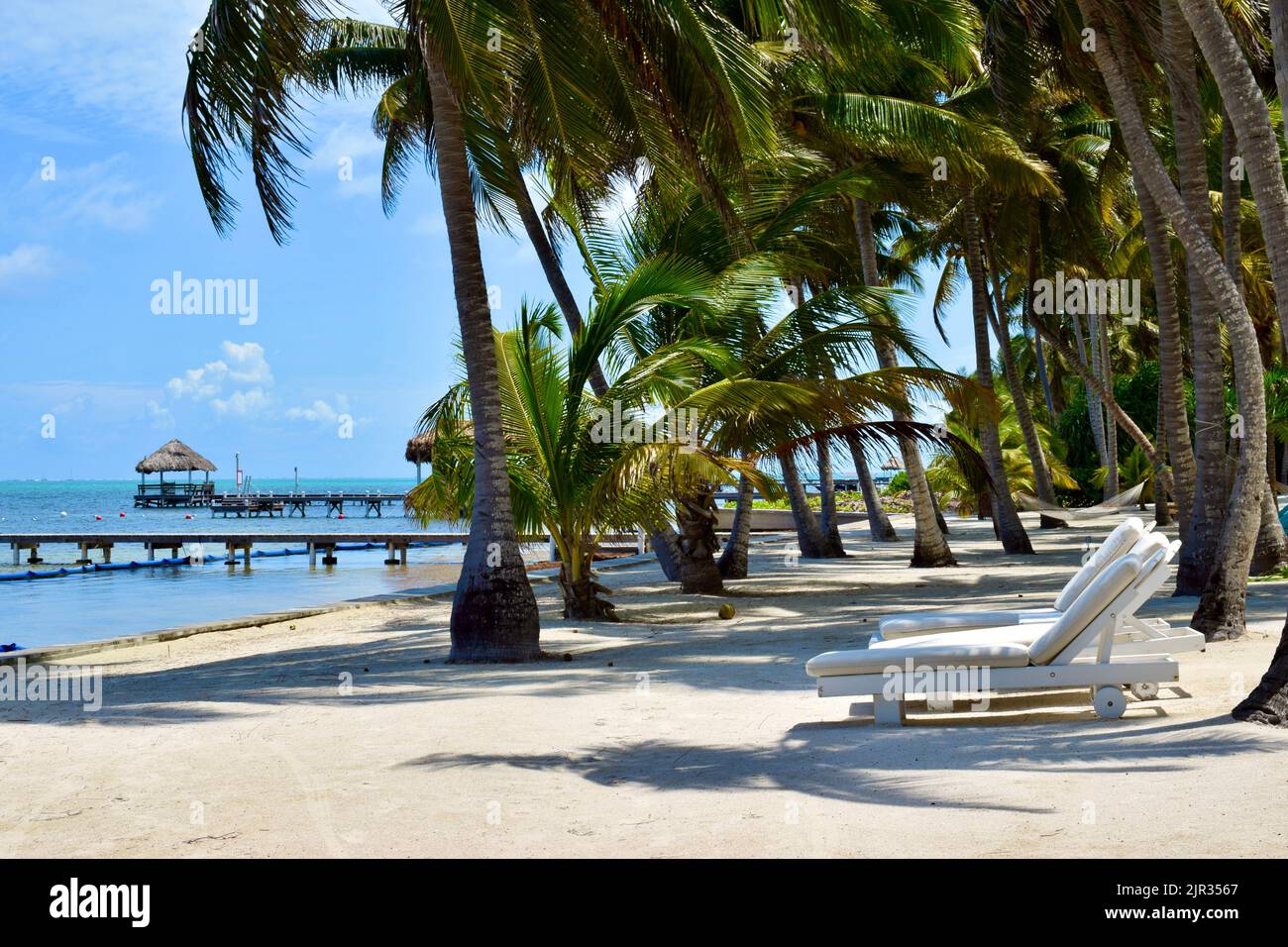 Una spiaggia tropicale con sedie a sdraio bianche, una spiaggia di sabbia, acqua, e un palapa e molo su Ambergris Caye, Belize. Foto Stock