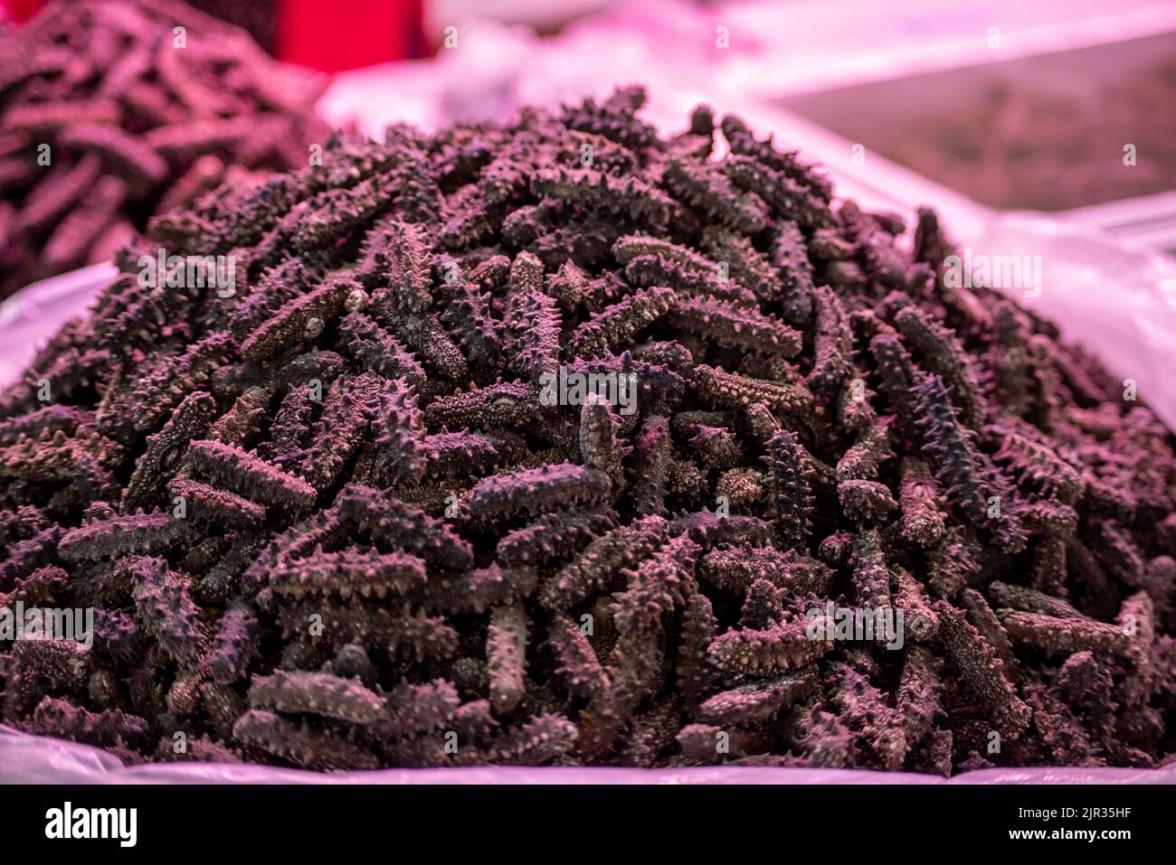 Cetriolo di mare essiccato, cetriolo di mare salato dalla Cina Foto Stock