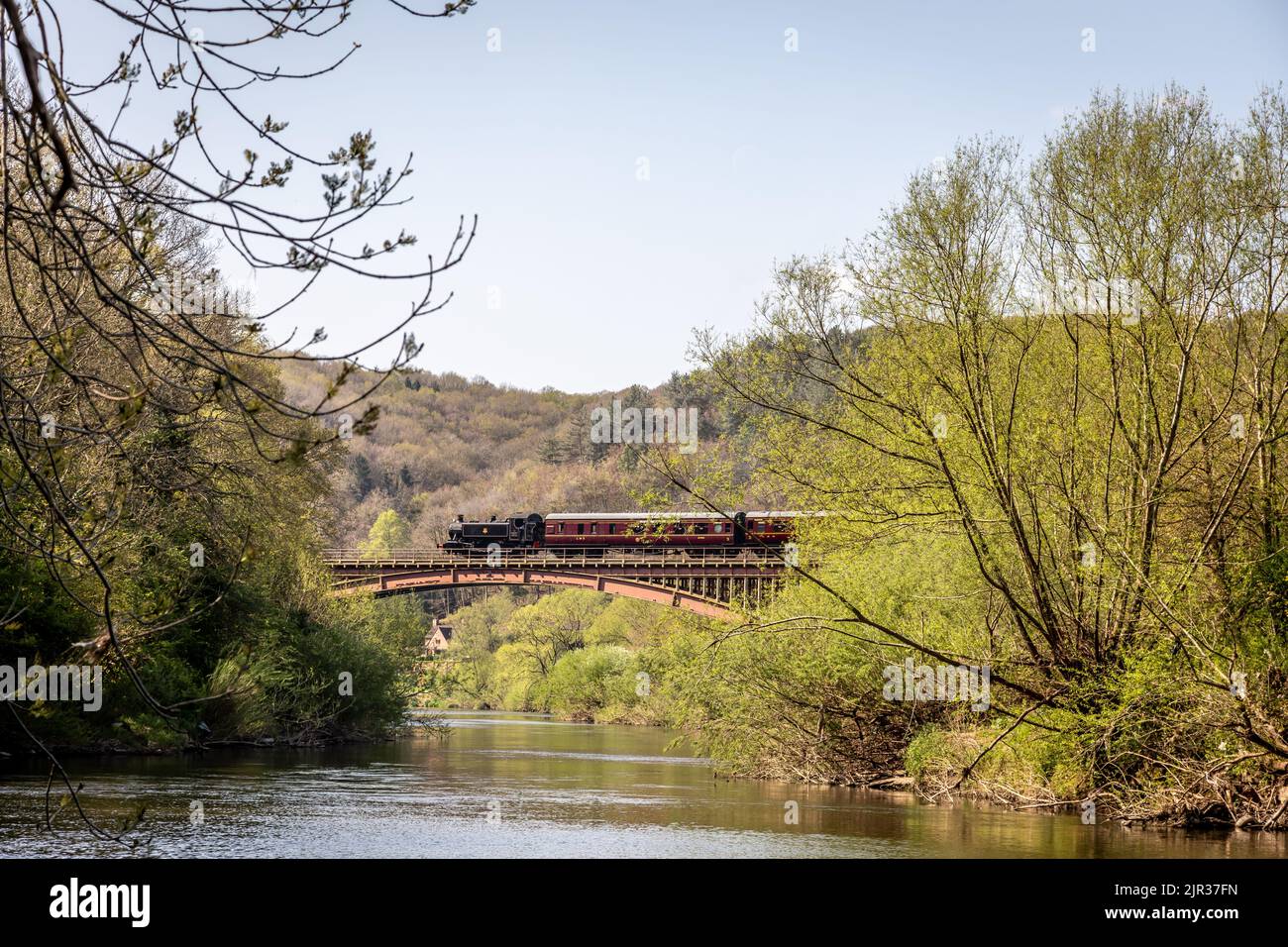 BR '1500' classe 0-6-0PT No. 1501 attraversa Victoria Brisge sulla Severn Valley Railway, Worcestershire Foto Stock