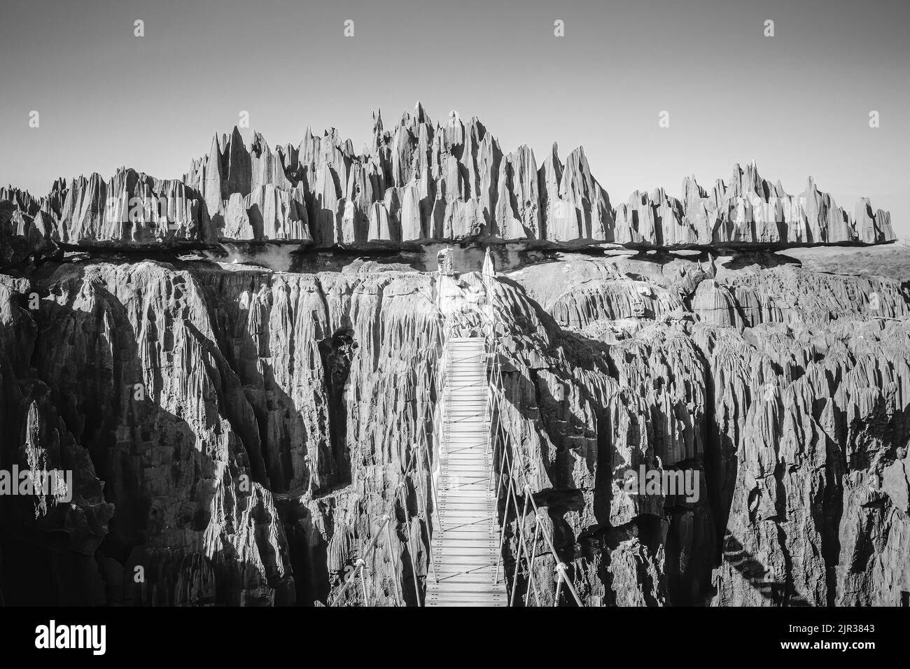 Tsingy del Bemaraha, Madagascar, Africa Foto Stock