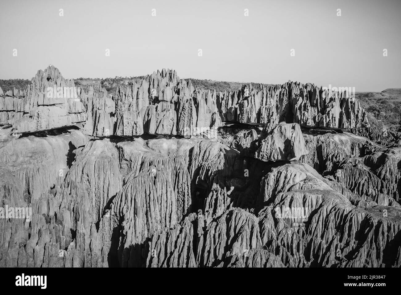 Tsingy del Bemaraha, Madagascar, Africa Foto Stock