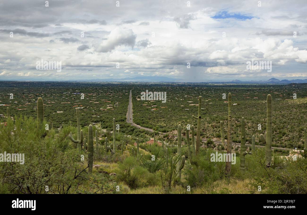 Il paesaggio mostra l'autostrada Catalina che conduce dal Monte Lemmon a Tucson in simbolo di viaggio e collegamento, deserto e città Foto Stock