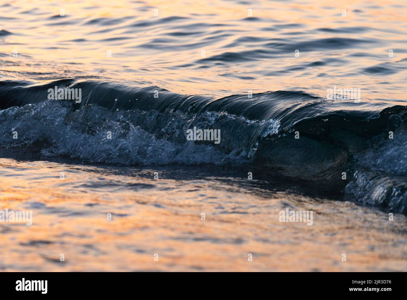 L'onda di mare spruzza da vicino. Ondulazione della superficie dell'acqua di mare con luce dorata del tramonto. Foto Stock