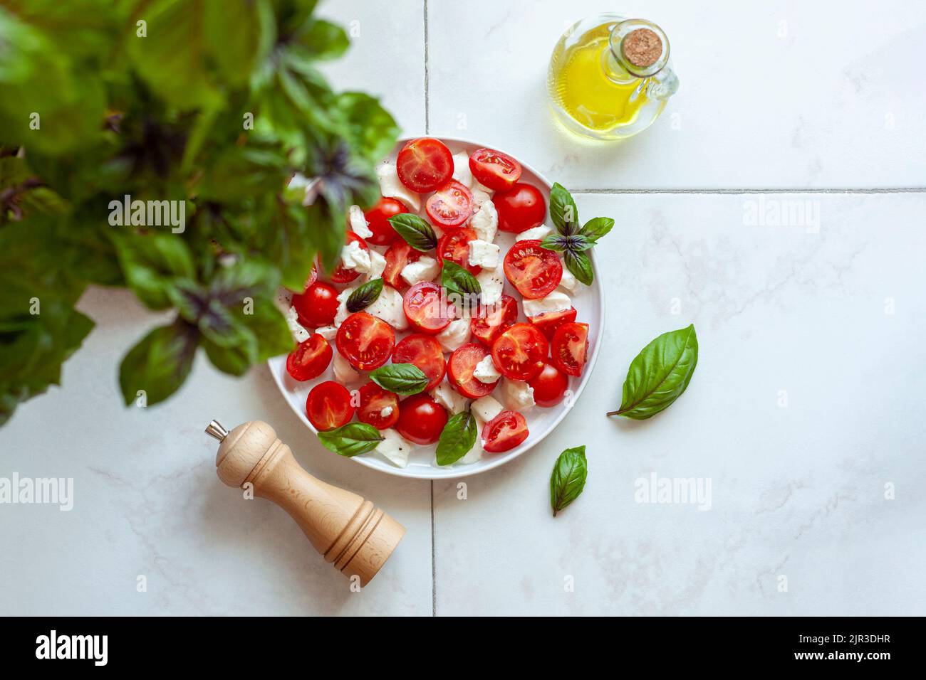 insalata caprese sotto la pianta di basilico, idea di giardinaggio domestico, vista dall'alto Foto Stock