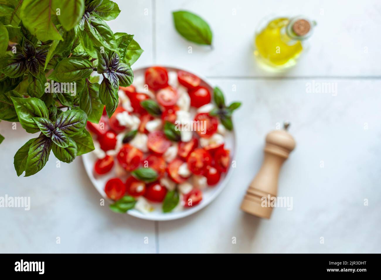 insalata caprese servita sotto il rosso, pianta di basilico, concetto di giardinaggio domestico, vista dall'alto, focalizzazione sulla pianta di basilico Foto Stock