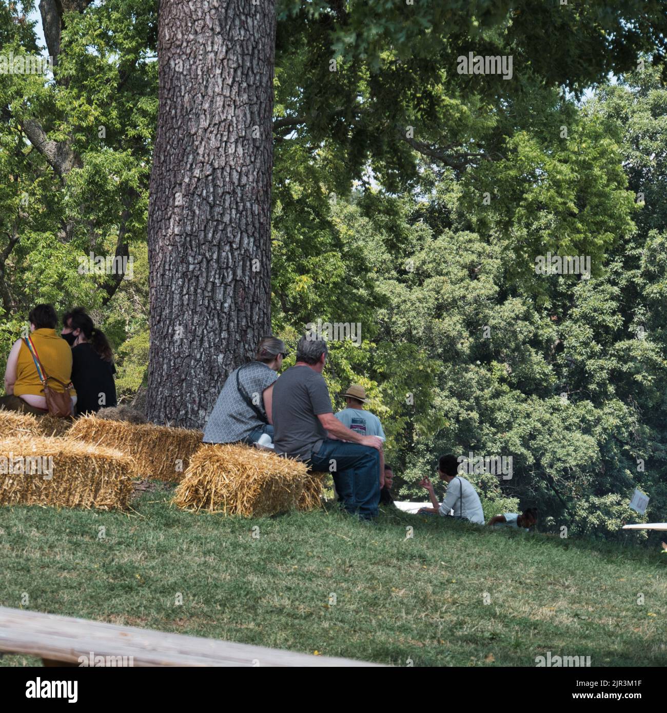 Kansas City Missouri - 20 agosto 2022 - Festival di arricchimento etnico a Swope Park Foto Stock