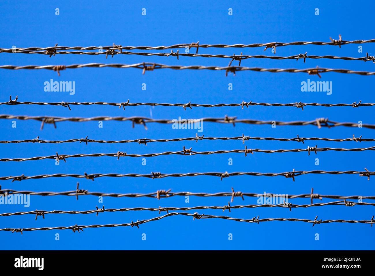 Recinzione di filo di Barb nell'ex campo di concentramento nazista di Auschwitz i, in Polonia. Foto Stock