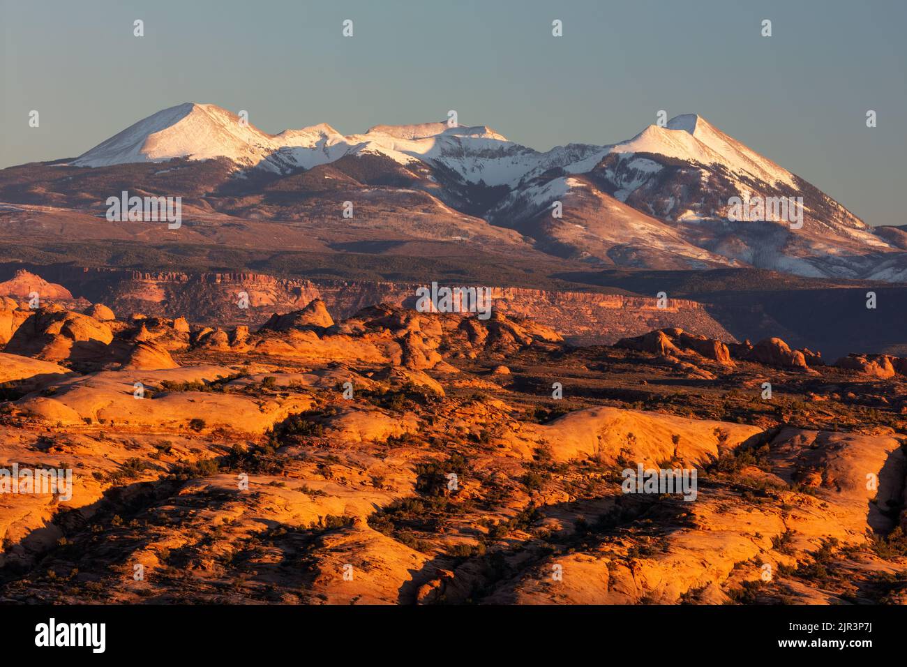 Le dune pietrificate e le montagne la Sal la sera, l'Arches National Park, Moab, Utah Foto Stock
