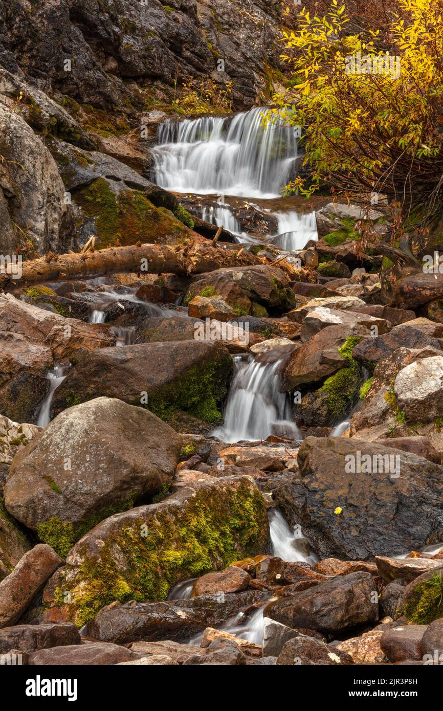 Piccola cascata lungo la San Juan Skyway in autunno, San Juan Mountains, Colorado Foto Stock