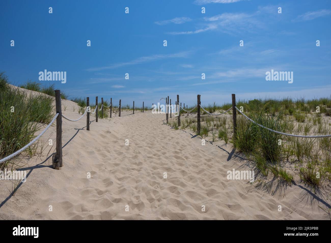 Sentiero per l'Oceano Atlantico, Dewey Beach, Delaware Seashore State Park, Delaware Foto Stock