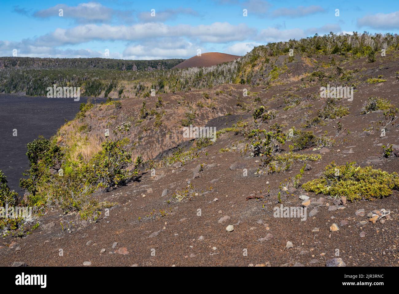 kilauea paesaggio lungo il bordo del cratere e byron sporgenza all'orizzonte al parco nazionale dei vulcani delle hawaii Foto Stock