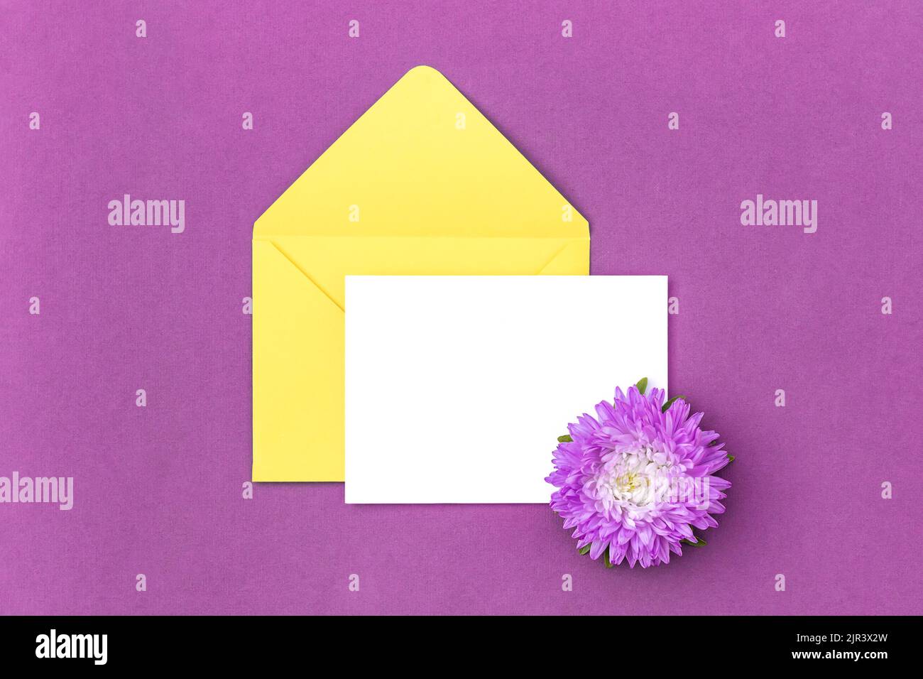 Cartoncino bianco, busta gialla e fiore su sfondo viola. Stile minimalista. Vista dall'alto Flat Lay Mockup. Foto Stock
