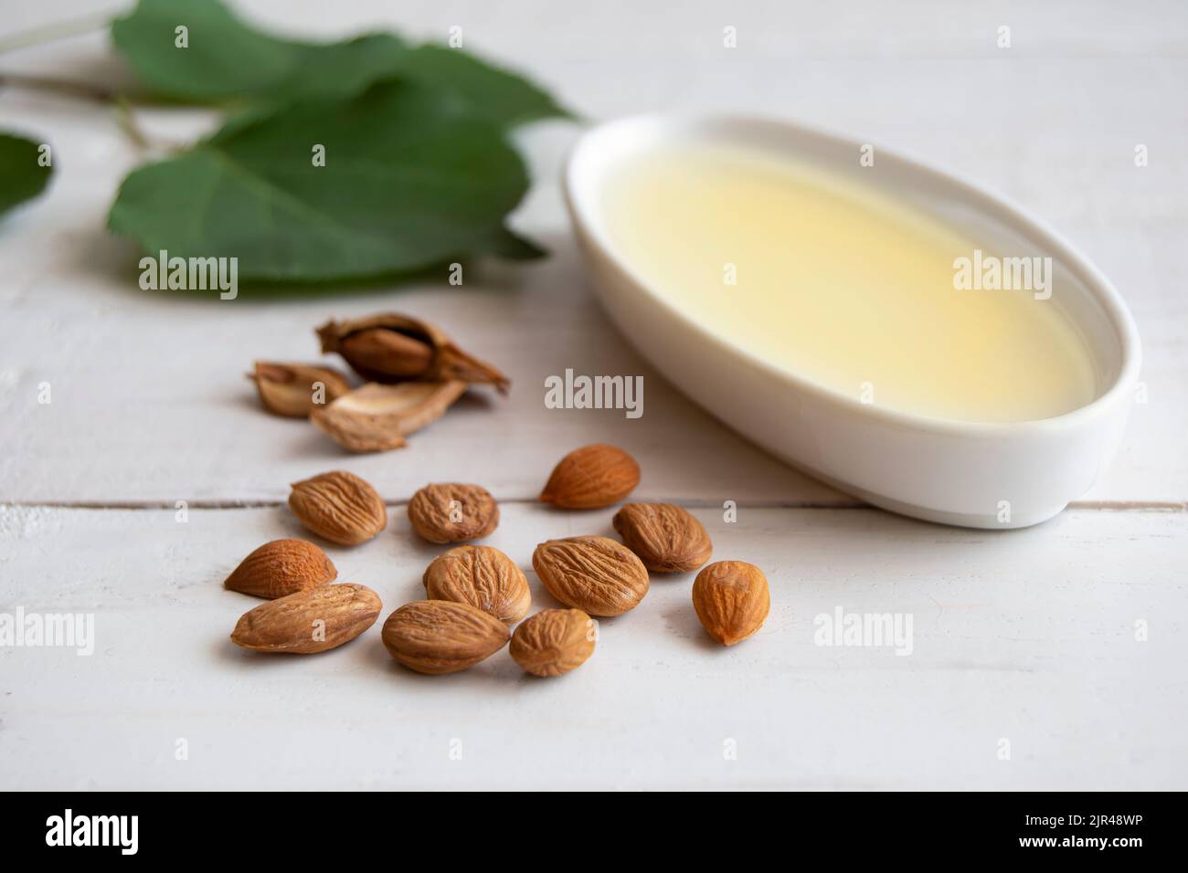 Olio di nocciolo di albicocca con noccioli di albicocca su un tavolo di legno bianco Foto Stock