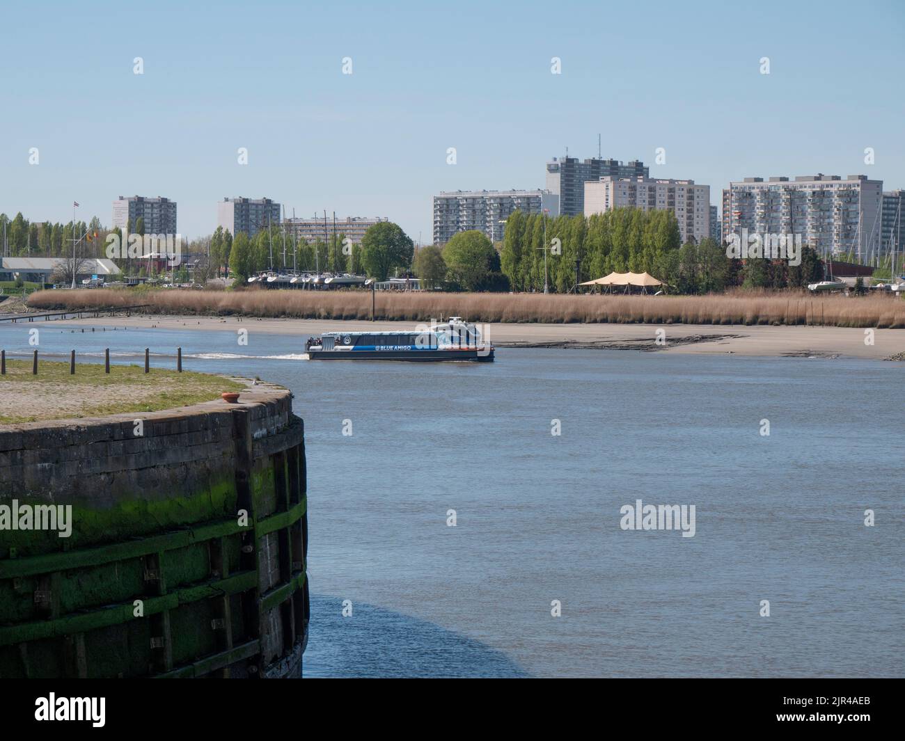 Anversa, Belgio, 17 aprile 2022, Waterbus il Blue Amigo naviga sul fiume Scheldt sulla riva sinistra Foto Stock