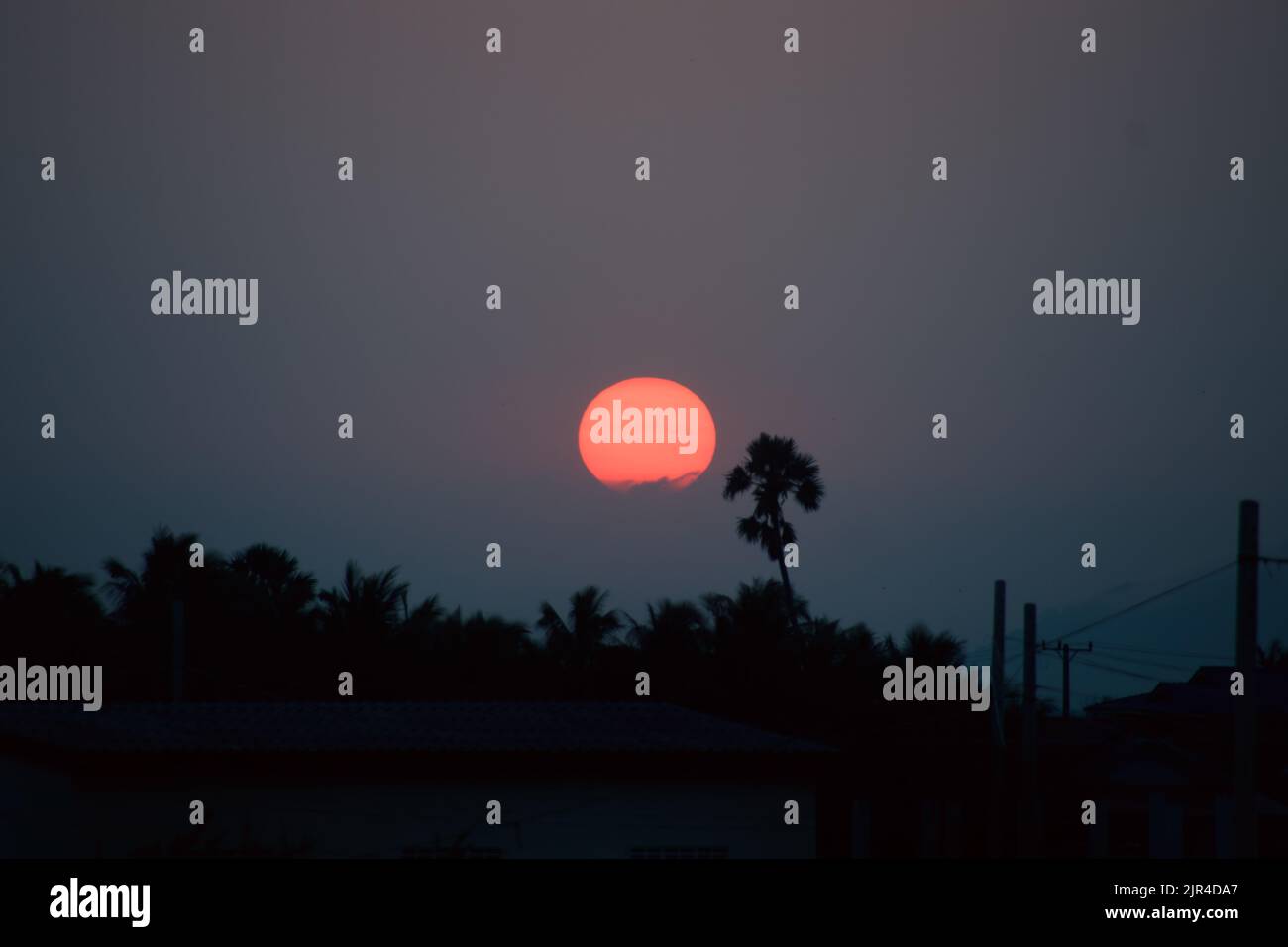 Scena da sogno del sole che tramonta dietro le sagome degli alberi all'orizzonte Foto Stock