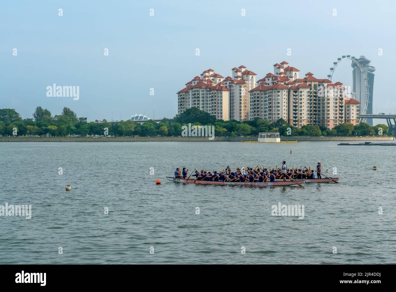 I canottieri del drago stanno esercitandosi per la concorrenza al bacino di Kallang, Singapore. Copia spazio. Foto Stock