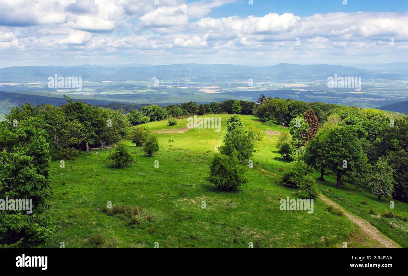 Verde paesaggio forestale di montagna - Panska Javorina Foto Stock